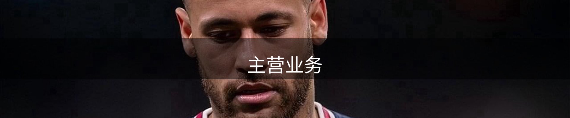 主营业务